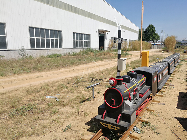Simulated Steam Track Train Ride 